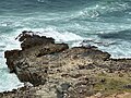 Looking down the escarpment from Harrington State Beach Park onto Harrington State Beach.