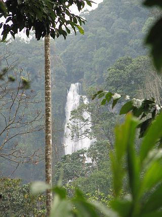 <span class="mw-page-title-main">Hebbe Falls</span> Waterfall in Chikmagalur district, Karnataka