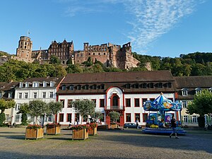 Heidelberger Akademie Der Wissenschaften