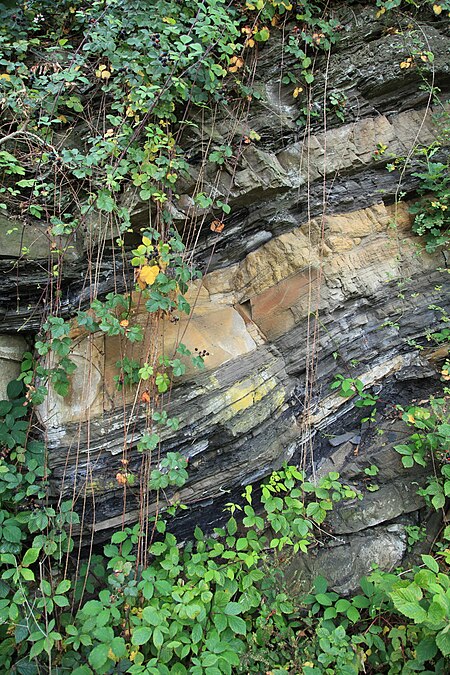 Herdecke Im Schiffwinkel Geologischer Aufschluss 05 ies