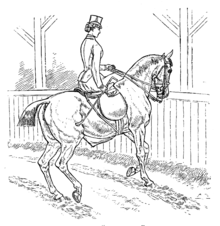 Lateral movement. Left hand holds the reins while the right hand gently uses the whip in place of the missing right leg. Horsemanship for Women 086.png