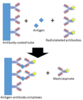 Thumbnail for Immunoradiometric assay