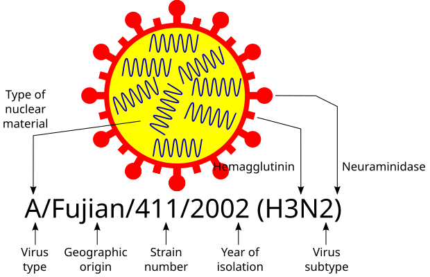 Influenza virus nomenclature (for a Fujian flu virus).