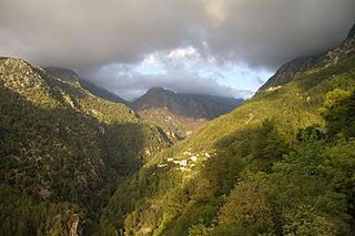 Jabal Moussa Biosphere Reserve