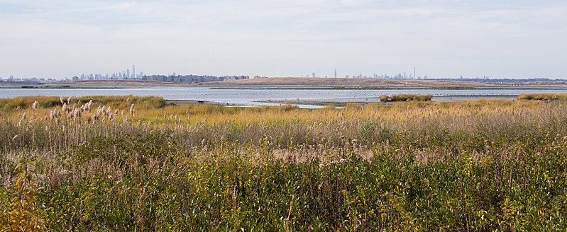 File:Jamaica Bay Wildlife Refuge (41200).jpg