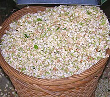 Green tea with jasmine flowers