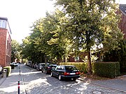 Platanenallee