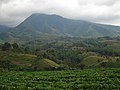 Kitanglad Mountain Range dilihat dari Songco, Lantapan, Bukidnon