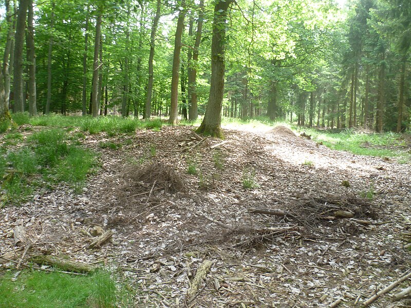 File:Kk ockstädter wald 010.JPG