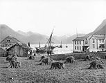 «Isfjorden seet fra Næs», 1888 Foto: «K. Knudsen, Bergen.»
