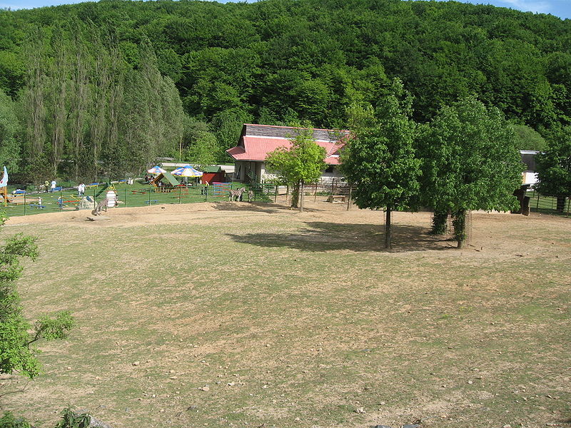 File:Košice ZOO 23.jpg