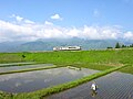 初夏の小淵沢駅 - 甲斐小泉駅間の風景（2010年6月5日）