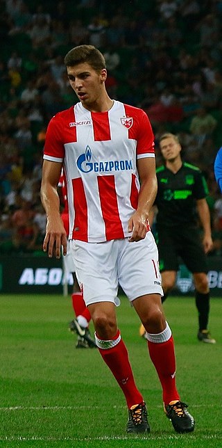 <span class="mw-page-title-main">Srđan Babić</span> Serbian footballer