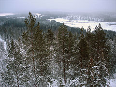 Utsikt från berget december 2004. Foto: Matias Ärje