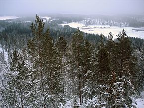 Landscape of Korpilahti.jpg