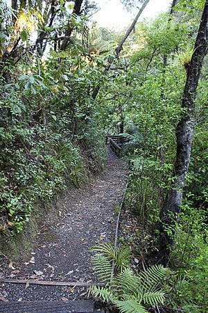 Le Cheval Rouge Bush Track.jpg