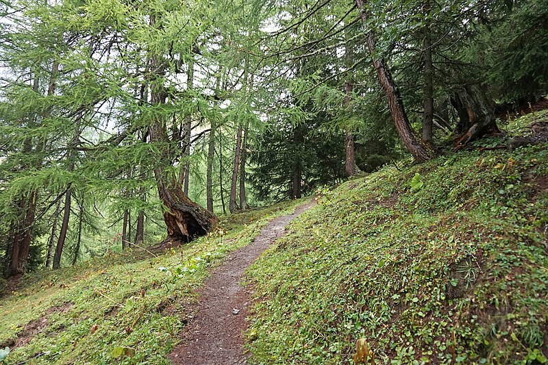 File:Leukerbad - path 6.jpg