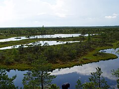 V narodnem parku Ķemeri so močvirja, naravni mineralni vrelci, blato in jezera, ki so nekdanje lagune Littorinskega morja.