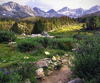 <span class="mw-page-title-main">Eastern Sierra</span> Eastern part of the Sierra Nevada