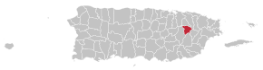 Муніципалітет Гурабо на карті Пуерто-Рико