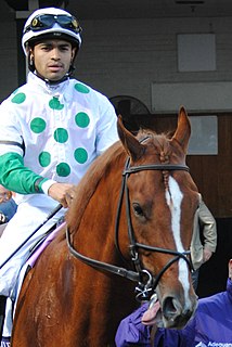 <span class="mw-page-title-main">Luis Saez</span> American-Panamanian jockey