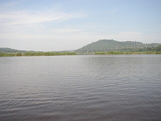 Chini Lake Lake in Pahang, Malaysia