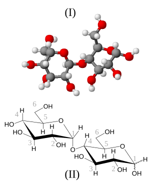 Maltose-3D.svg