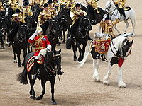 Trooping The Colour: Ceremonin, Trooping the Colour i London, Se även