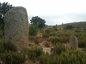 Menhir de la Murtra.jpg