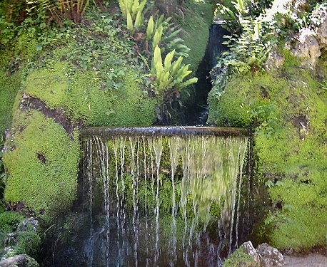 Mini waterfall in the Japanese garden of Powerscourt