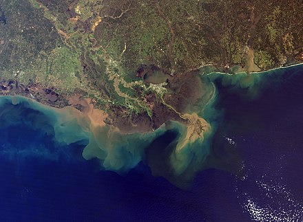 The Mississippi River Delta, showing the sediment plumes from the Mississippi and Atchafalaya Rivers, 2001.