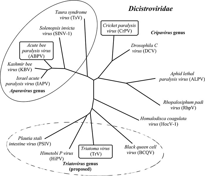 File:Mn5025fig7mag.jpg