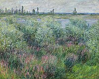 Banks of the Seine near Vetheuil Monet w699.jpg