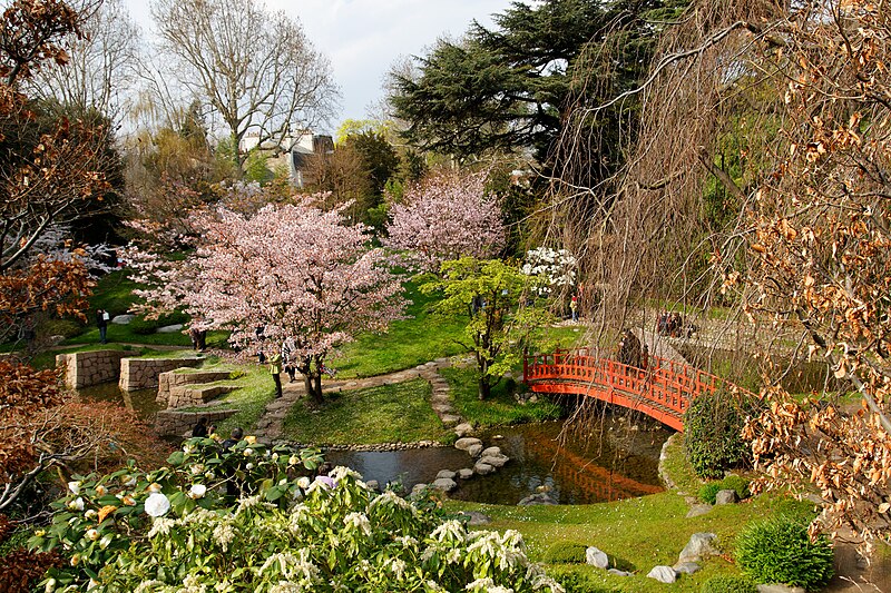 File:Musée Albert Kahn - Jardin japonais - Cerisiers et Magnolias en fleurs.jpg