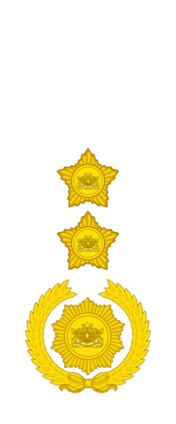 File:Myanmar officer rank insignia 8.png