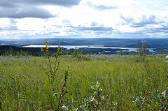 View from mount Nálluovárdduo/Nalovardo towards the river Vindelälven.