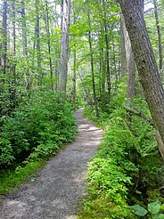 Nehantic Trail - Rhododendron Sanctuary side trail entrance.jpg