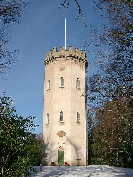 File:Nelson's Tower, Cluny Hill, Forres - geograph.org.uk - 1720070.jpg