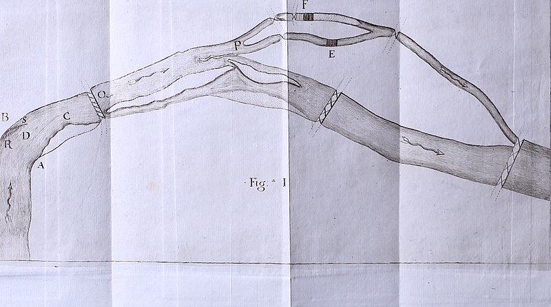 File:Nuova raccolta d'autori, che trattano del moto dell'acque (1766) (14589607810).jpg