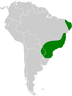 Odontophorus capueira map.svg