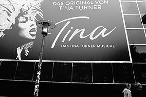 Tina Turner: Kindheit und Jugend, Ike & Tina Turner, Solokarriere