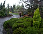 Oregon Garden қылқан жапырақты ағаш кіреберісі 2007-12-23 15-04-03 0038.jpeg