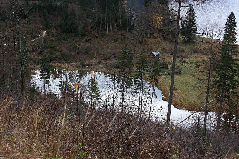 File:Ostersee Altaussee 79118 2014-11-15.JPG