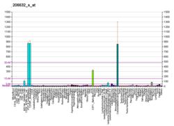 PBB GE APOBEC3B 206632 s bei fs.png