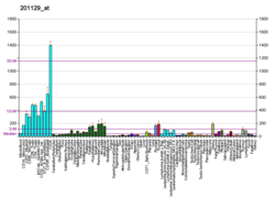 PBB GE SFRS7 201129 fs.png'de