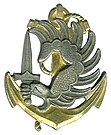Current Beret badge worn by the Marine paratroops