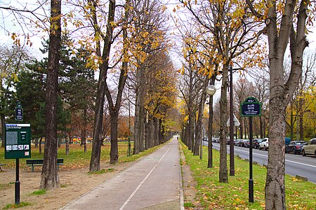 Paris allee davia