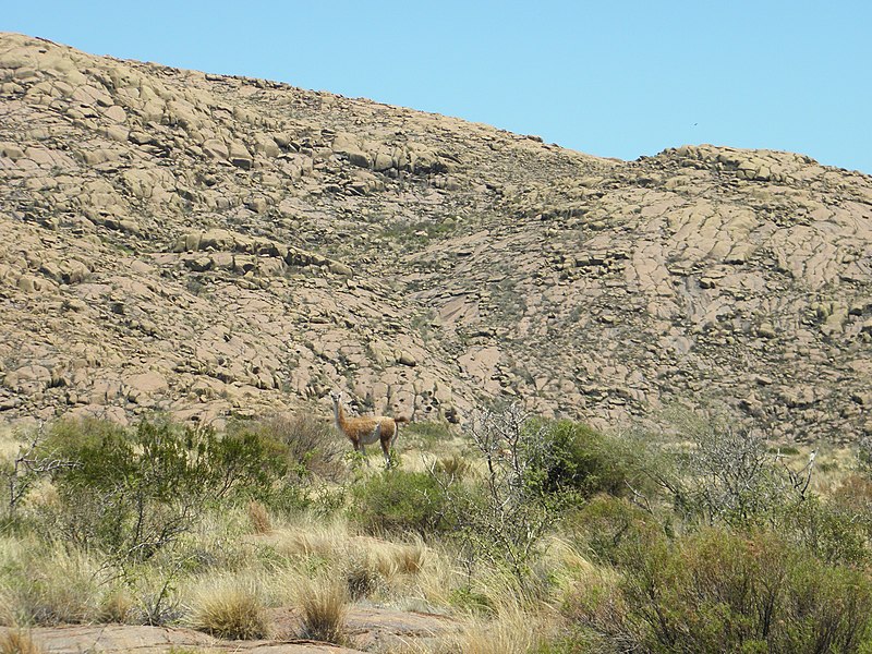 File:Parque Nacional Lihue Calel, La Pampa, Argentina . - panoramio (5).jpg