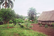 Village of Paya in 1996. The central hut was used both for civic meetings and for religious rituals. Foreign visitors were not allowed inside.