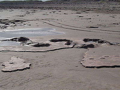 Huellas prehistóricas fósiles